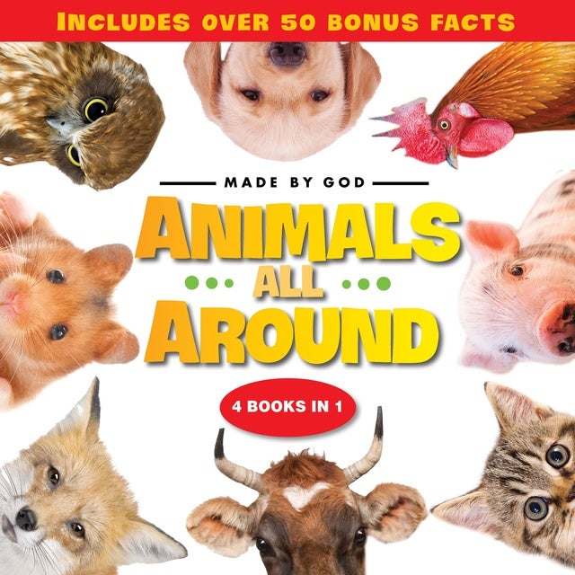 Animals All Around de Zondervan