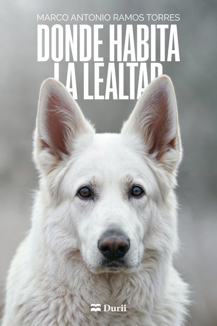 Donde habita la lealtad